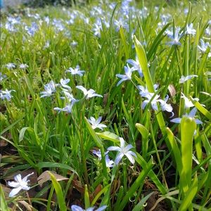 Meet your Posher, Ella